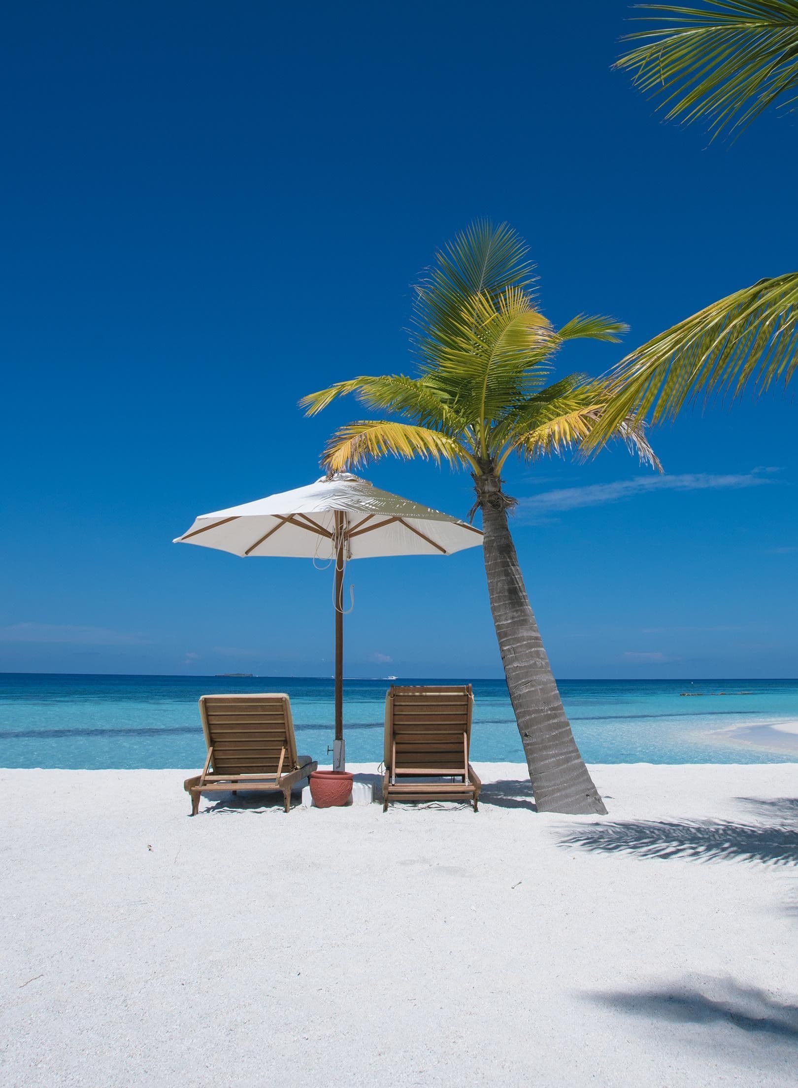 Tropical scene at a Maldives beach